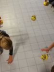 beebot1